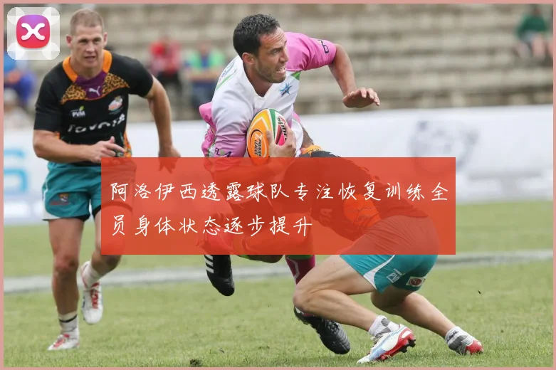 阿洛伊西透露球队专注恢复训练全员身体状态逐步提升