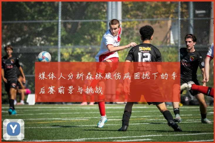 媒体人分析森林狼伤病困扰下的季后赛前景与挑战