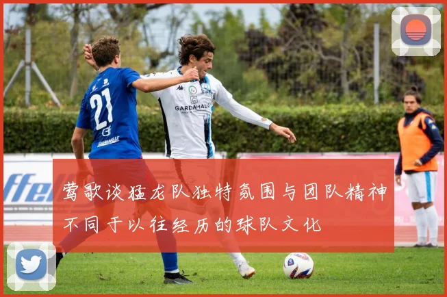 莺歌谈猛龙队独特氛围与团队精神不同于以往经历的球队文化